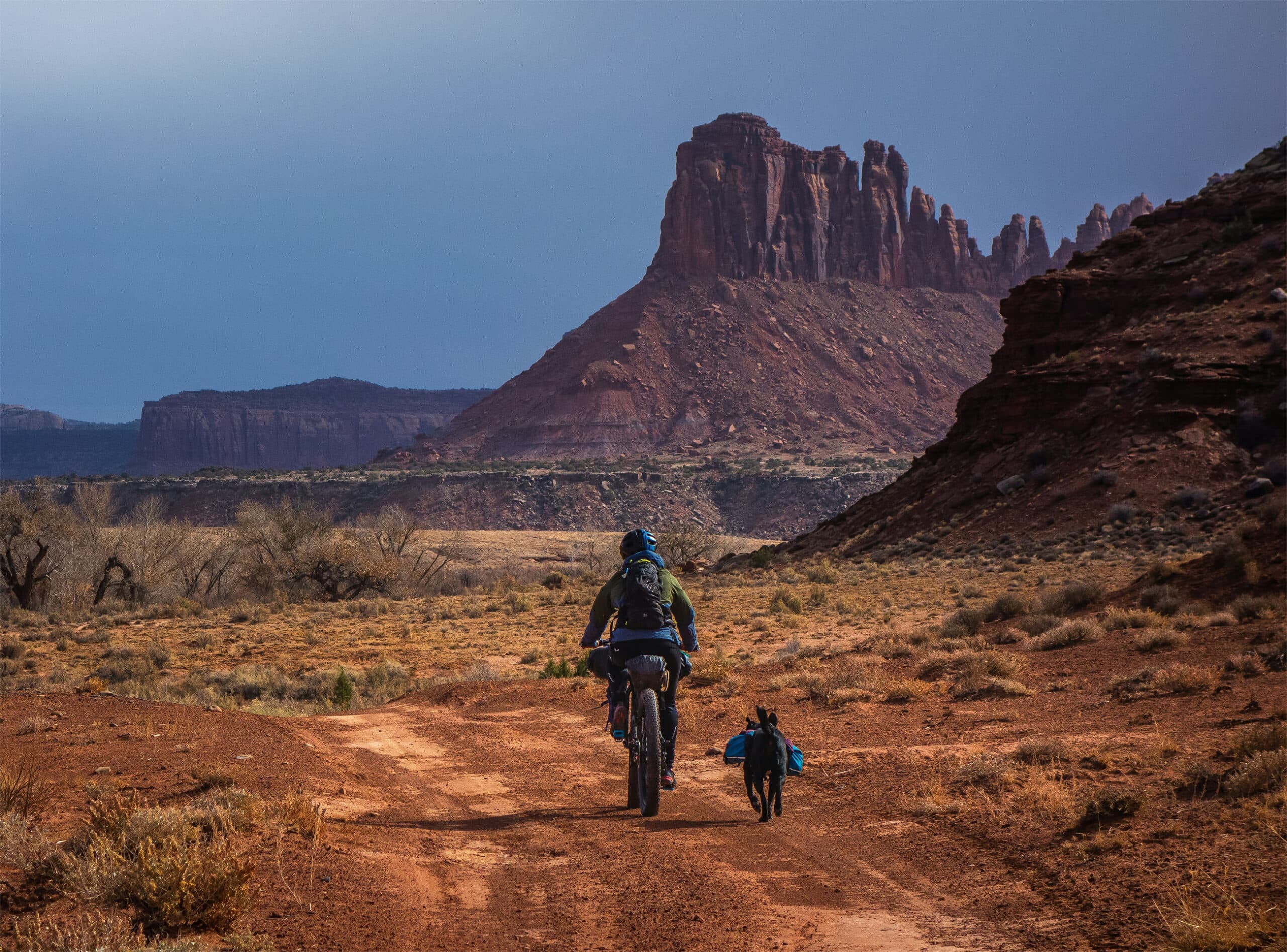 Cyclist touring in a desert landscape